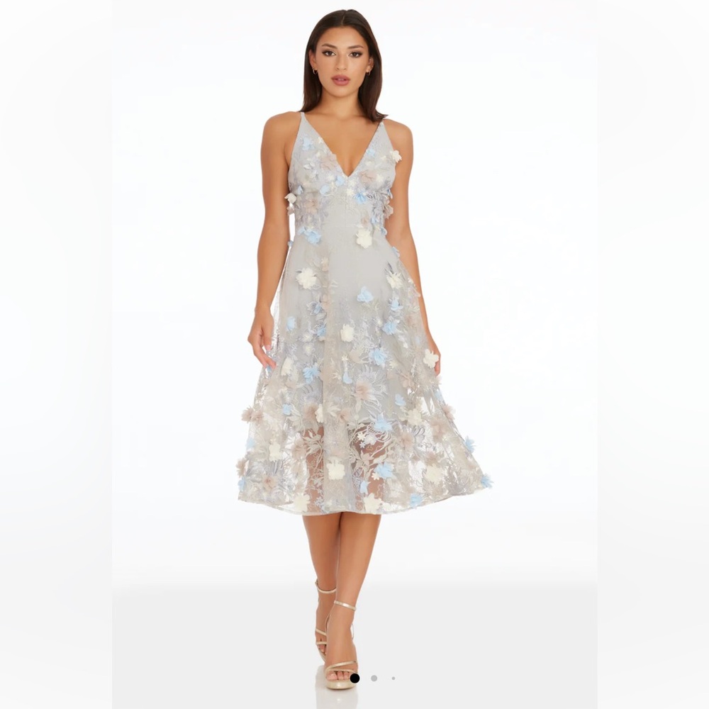 Dress the Population Audrey Fit & Flare Floral Embroidered Dress NWT Size XL